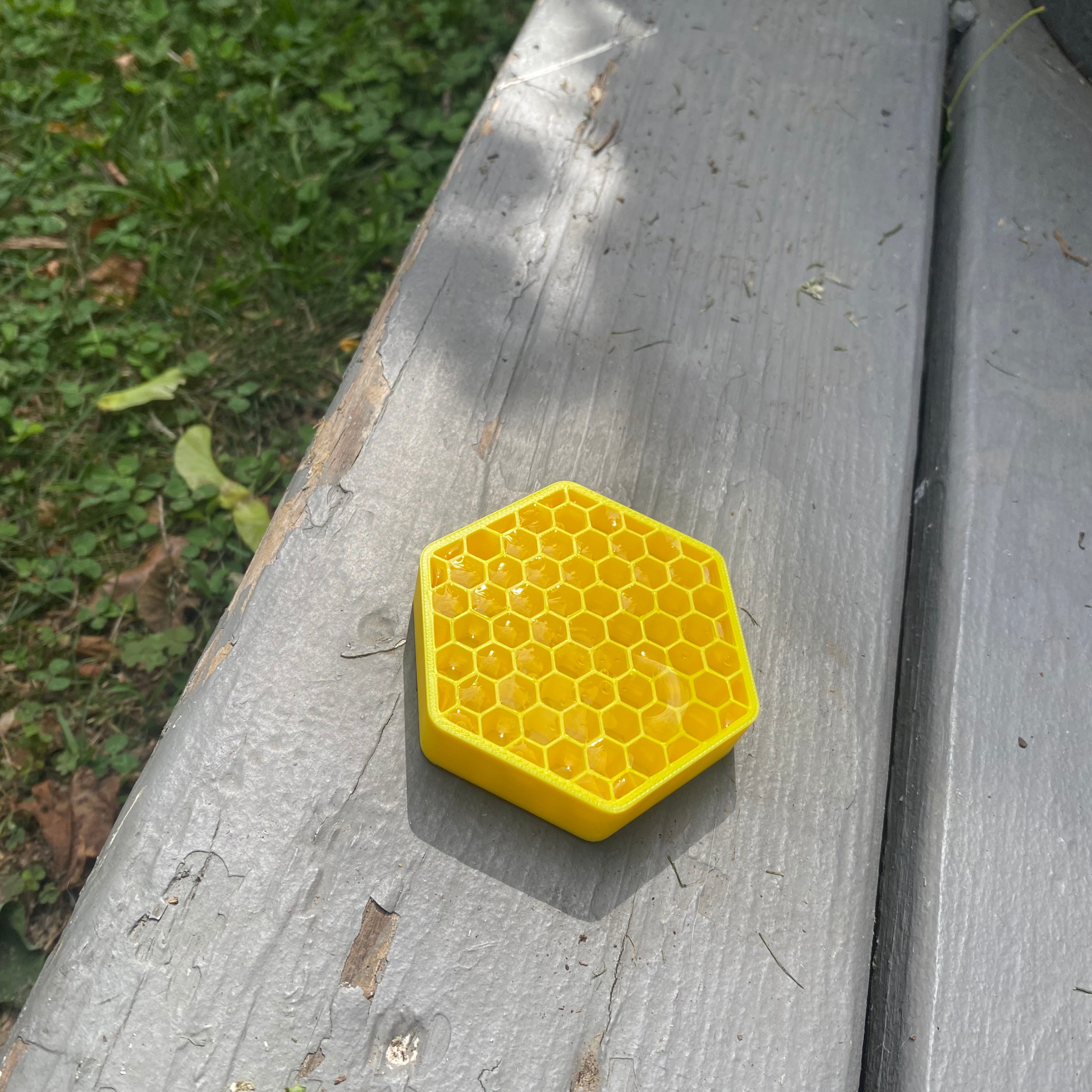 Mini Bee Puck (2-Pack, Same Color) - Pollinator Hydration Station