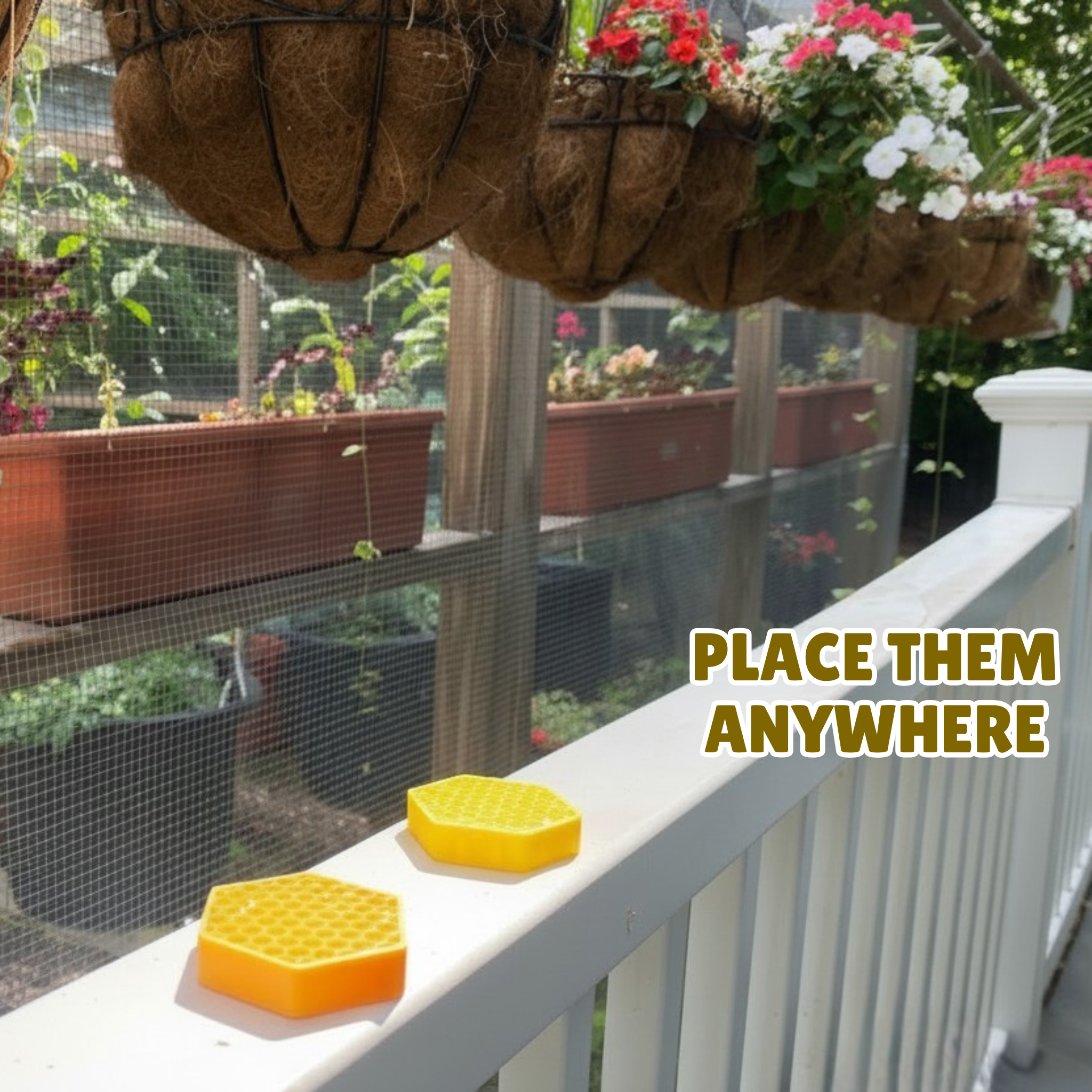 Mini Bee Puck (2-Pack, Same Color) - Pollinator Hydration Station