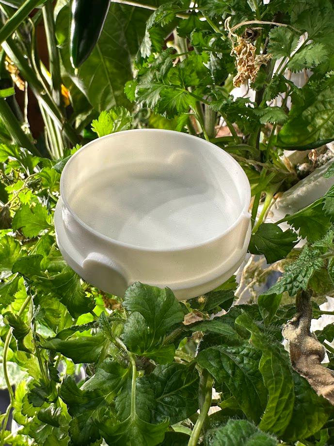 white plastic cap on a bed of greenery