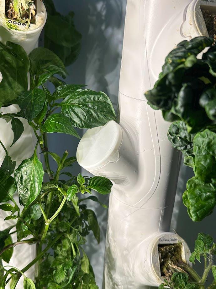 Hanging indoor garden with plants and a white plastic frame.