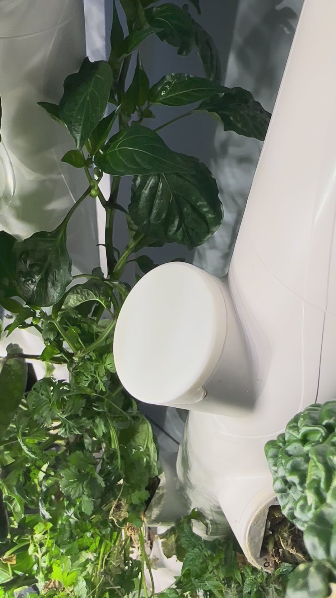 Gardyn Style Cover Caps for your Gardyn yPod - Set of 10